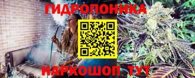 прущие крисы Кимры