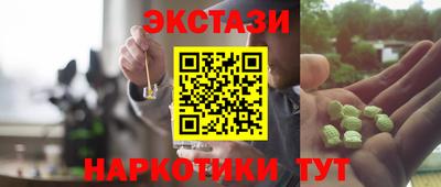 дживик Кингисепп