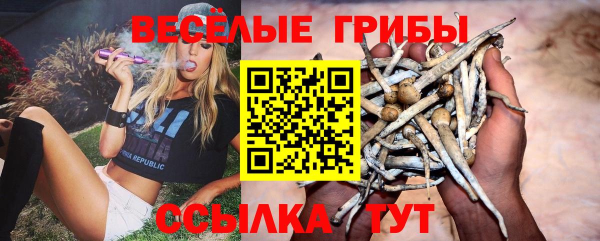 Псилоцибиновые грибы MAGIC MUSHROOMS Ярцево