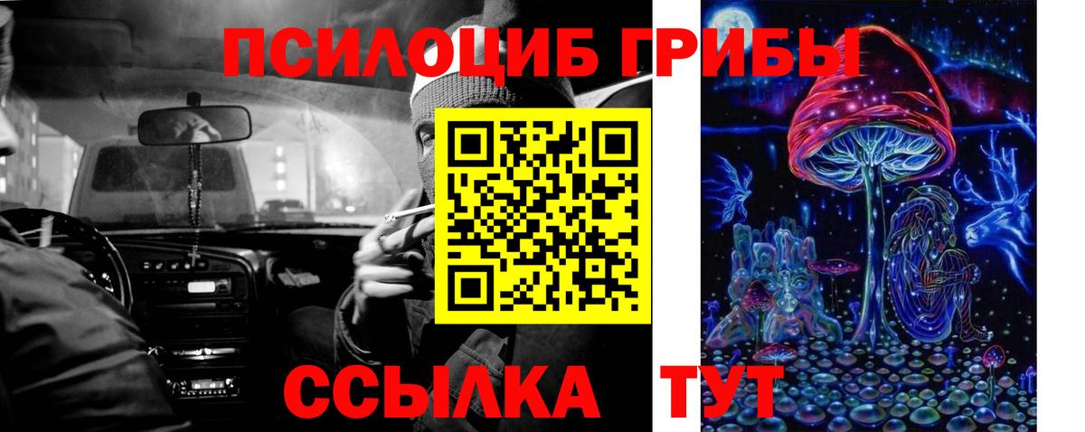 Псилоцибиновые грибы прущие грибы  Псилоцибиновые грибы мицелий  Вход с VPN  купить наркотики цена  Ярцево 